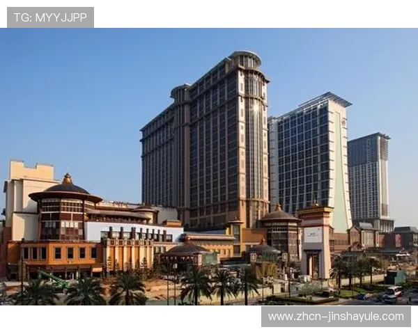 金沙澳门有限公司：详解其在澳门经济中的核心地位与战略布局