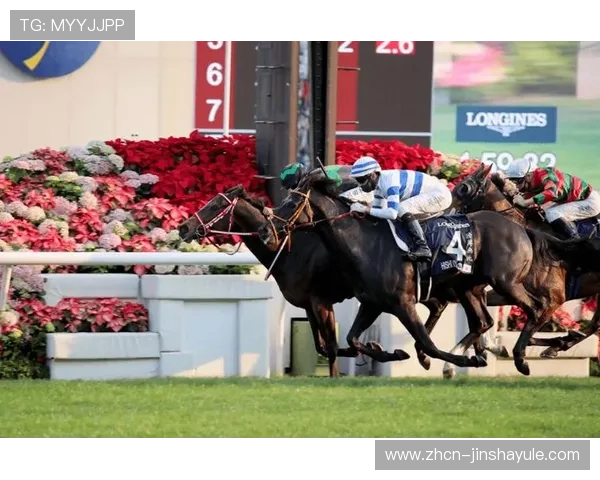 2024年马会投注地址登录入口官方最新版本推荐及安全登录指南