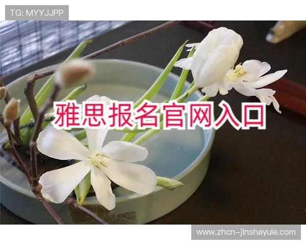 获取金沙官网网址最新官方入口信息，确保每次登录都安全顺畅